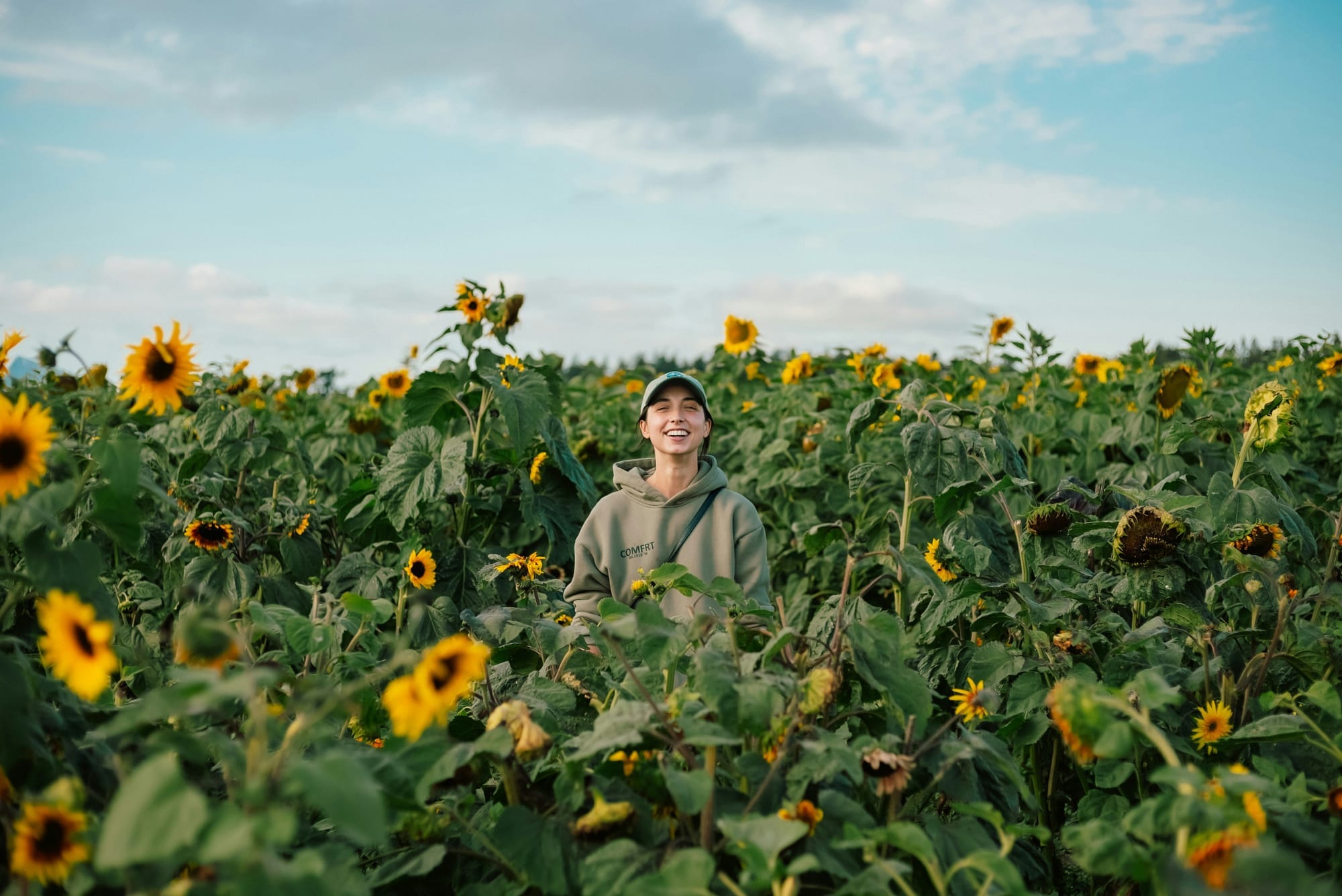 Landscape Cover Center